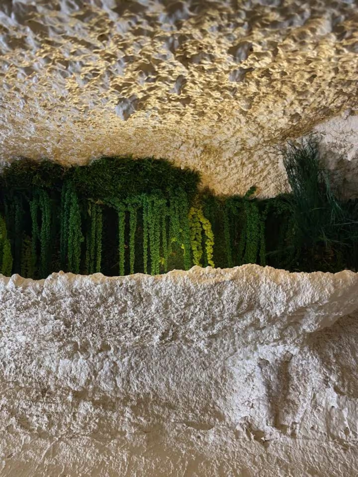 Détail de la roche calcaire et du mur végétal suspendu, éclairé de doré